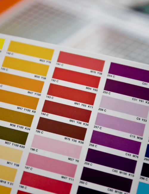Colour Palette